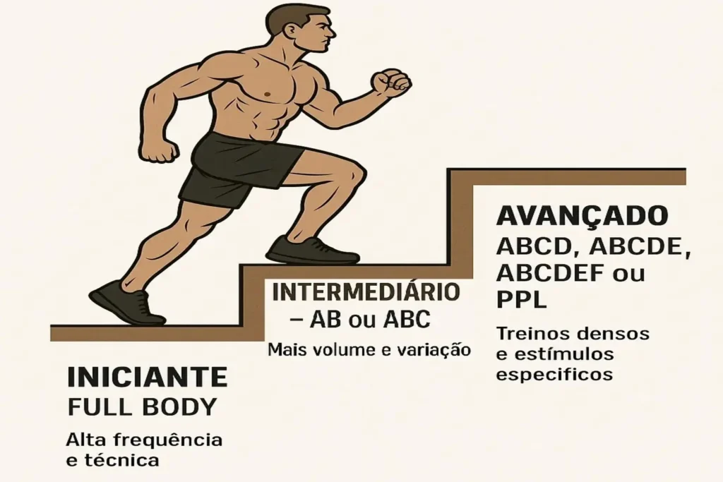 Infográfico mostrando escolha da divisão de treinos: escada com Iniciante (FULL BODY), Intermediário (AB/ABC) e Avançado (ABCD/ABCDE/ABCDEF/PPL) indica frequência, volume e objetivos