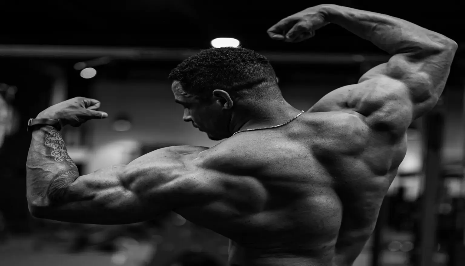 No momento, você está visualizando Treino de costas: Os 15 melhores exercícios