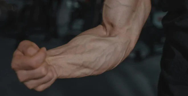 Treino de antebraço: Os 7 melhores exercícios para hipertrofia